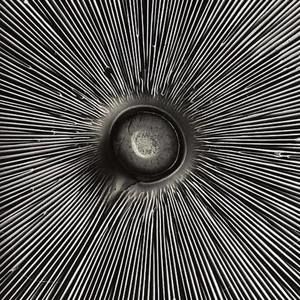 Meet your Posher, Mathias